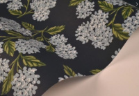 Обои York Rifle Paper Co RI5142