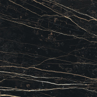 Керамогранит PREXIOUS REX THUNDER NIGHT MAT 10MM 60X60 R