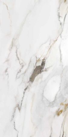 Керамогранит MARMO E PIETRA MACCHIA ANTICA  NAT. RETT. 60X120