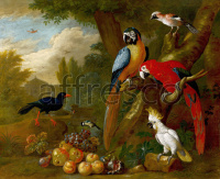 Картина: Bogdani Jakob, Two Macaws a Cockatoo and a Jay with Fruit