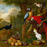 Картина: Bogdani Jakob, Two Macaws a Cockatoo and a Jay with Fruit