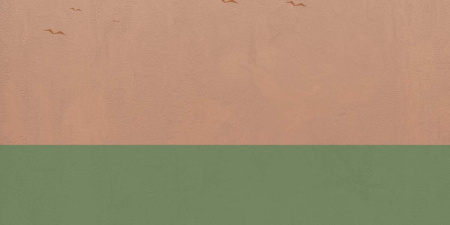 Керамическая плитка W&S D CP4 COUNTRY A 120X240