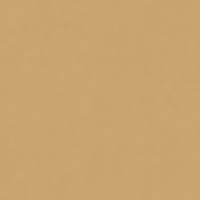 Керамический гранит W&S FL. RAINBOW SENAPE 120X120