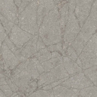 Керамогранит SPR.MEMOR. GREY SOAP. NAT R120X120