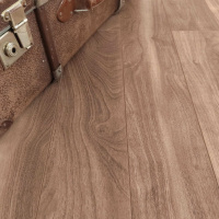 Орех Вирджиния