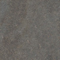Керамогранит NATIVE FOREST RET	120X120