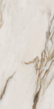 Керамогранит SNS.SIGN.CAL. VENA ORO LUX RET 60X120