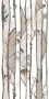Керамогранит MAJESTIC PURE GROVE LEV/RET 60x119,5