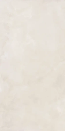 ANIMA EVER Royal Onyx Matt R10B 60X120