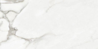 VENATO NATURAL MATT 60X120