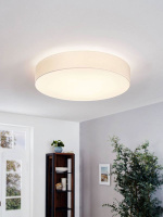 Потолочный светильник PASTERI 97619