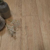 Дуб Ванкувер