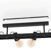 Потолочный светильник Eglo PLIMSOLL 43847