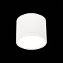 Светильник потолочный St Luce RENE 9W ST113.542.09