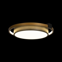 Потолочный светильник Loft It (Light for You) Mike 10169