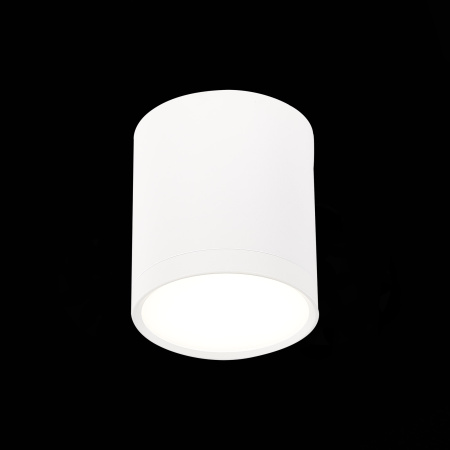 Светильник потолочный St Luce RENE 5W ST113.542.05