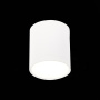 Светильник потолочный St Luce RENE 5W ST113.542.05