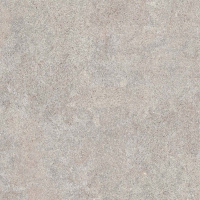 Керамогранит NATIVE ASH LAP RET	120X120