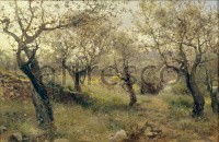 Картина: Josep Masriera