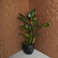 Обои Marburg Eclectic 34926