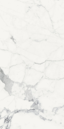 Керамогранит LES ORIGINES DE REX BLANC GLOSSY 60X120