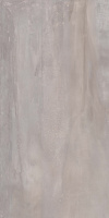 Керамическая плитка INTERNO 9 SILVER ret   120X240