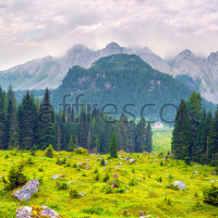 Фрески, Каталог Фотоискусство, арт. ID13462