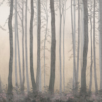 Фрески, Каталог Ботаника, арт. ID135978