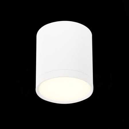 Светильник потолочный St Luce RENE 5W ST113.532.05