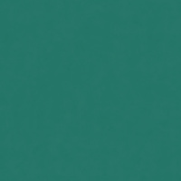 Керамический гранит  W&S FL. RAINBOW BOSCO 120X120