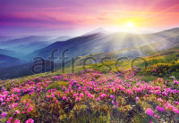 Фрески, Каталог Фотоискусство, арт. ID12028