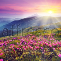 Фрески, Каталог Фотоискусство, арт. ID12028