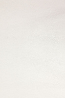 Обои Chelsea Decor Wallpapers Geometry of nature GEN0019