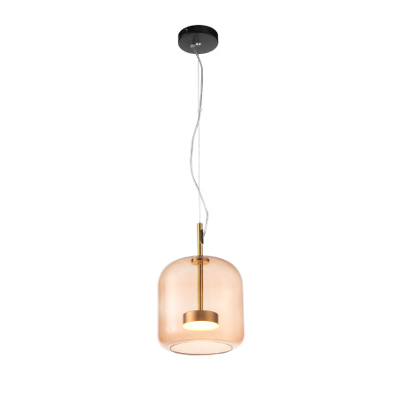 Светильник подвесной ST-Luce PALOCHINO SL1053.273.01
