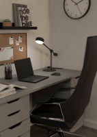 Настольная лампа Eglo CLAVELLINA 900353