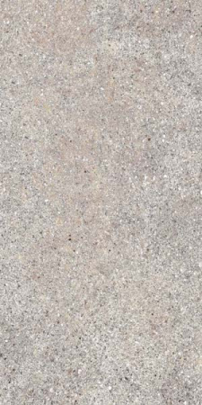 Керамогранит NATIVE ASH RET  30X60