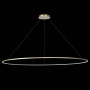 Светильник подвесной ST LUCE ERTO SL904.243.01