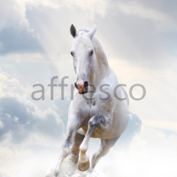 Фрески, Каталог Сюжеты, арт. ID10769