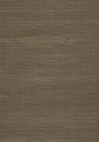 Обои Architector Evolve (EV01100)