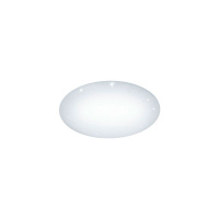 Потолочный светильник GIRON-S 97541
