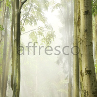 Фрески, Каталог Фотоискусство, арт. ID10907