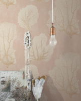 Обои York Aviva Stanoff Signature VA1208