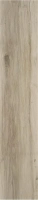 BLAZE NATURAL MT 23X120