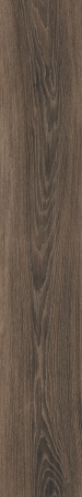 Керамогранит ECO CHIC BROWN RET  20X170