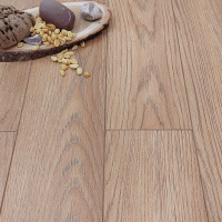 Дуб Альберта