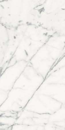 Керамогранит LES ORIGINES DE REX BLANC GLOSSY 60X120