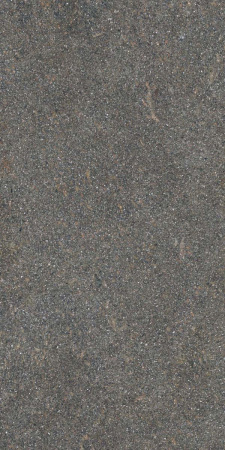 Керамогранит NATIVE FOREST LAP RET  60X120