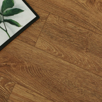 Дуб Торонто