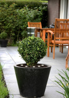 Ландшафтный спот Eglo SPINETOLI 2 900117