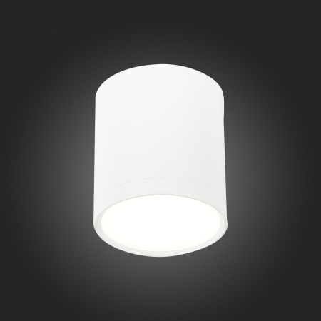 Светильник потолочный St Luce RENE 5W ST113.542.05